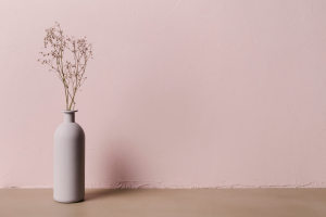 gallery/decorative-plant-inside-minimal-vase